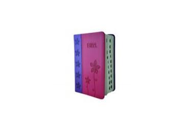 NeueLuther Bibel - Kunstleder, lila/pink